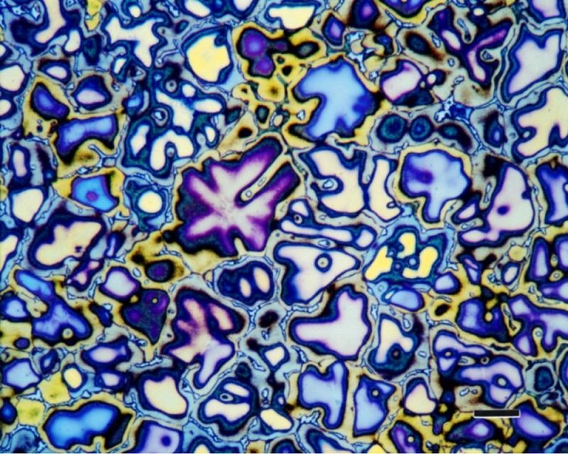 Buehler to host webinar on etching of aluminum and magnesium alloys