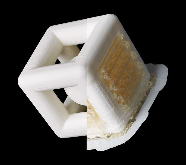 Monica rig Født Infinite Materials debuts new water-soluble material for extrusion 3D  printing