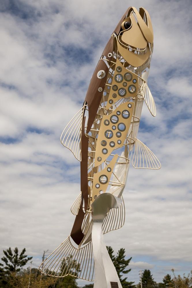 metal sculpture of trout