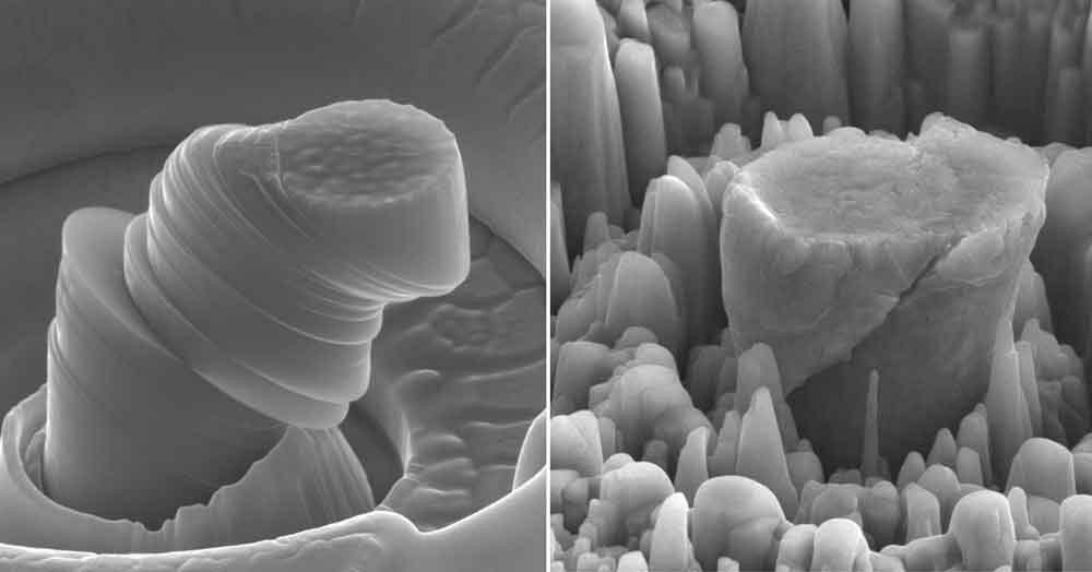 nanoparticle morphology in sheet metal