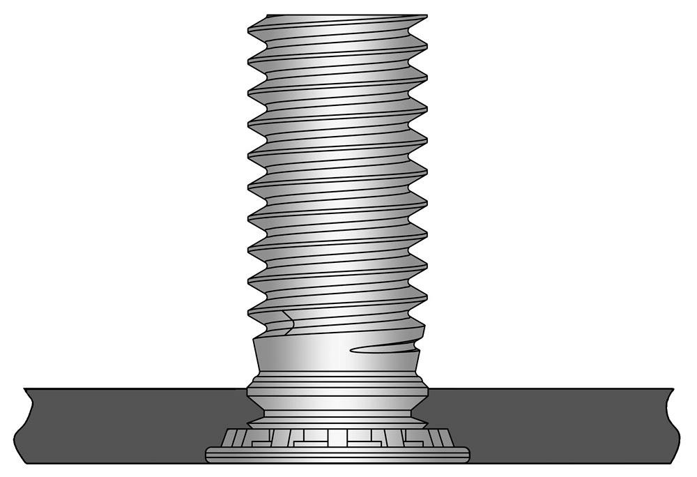 Stainless Steel Thread Galling at Cassandra Wasinger blog